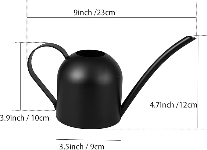 IMEEA Small Watering Can for Indoor Plants Stainless Steel Watering Can with Long Spout 15oz/450ml, (Black)