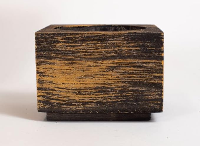 Cali Kiwi Organic Cat Grass Kit - Cat Grass for Indoor Cats with Cat Toy – Natural Hairball Remedy, Supports Digestion & Health, Single Planter (Black Gold)