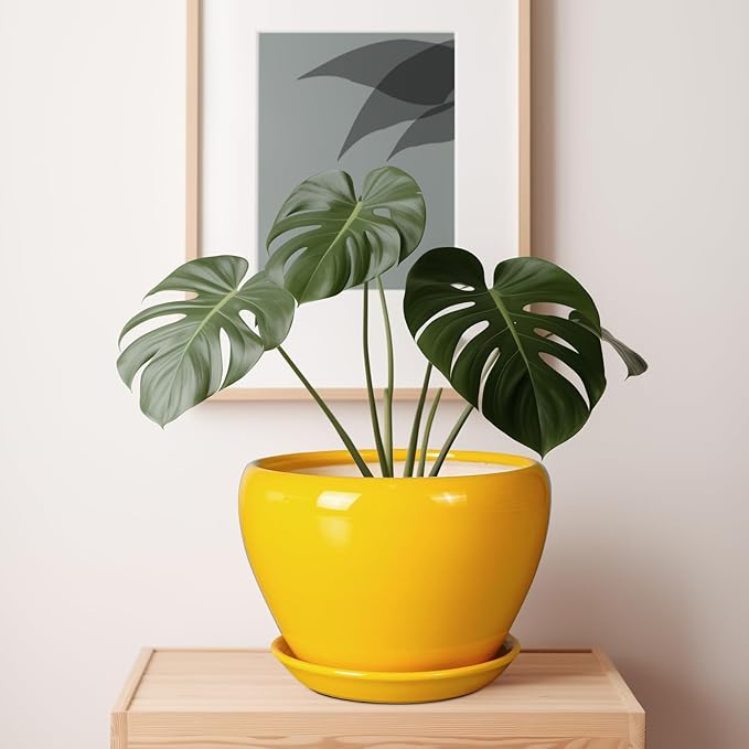 Ceramic Planter - 10 Inch Plant Pot for Indoor Outdoor Plants Glaze Modern Round Planter with Drainage Hole and Saucer for Garden Office Home Room Patio Decor, Yellow