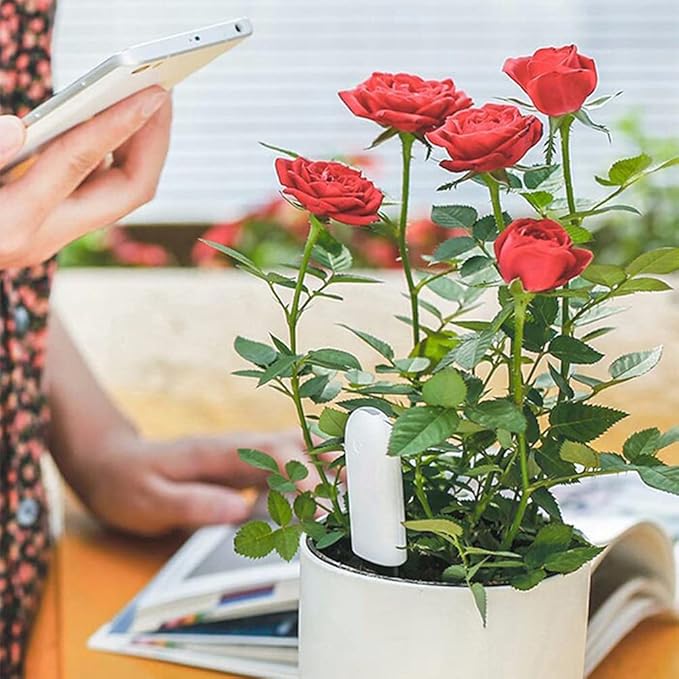 Soil Moisture Meter 4 in 1,Plant Water Monitor,Automatically detect Moisture/Temperature/Light/Fertility,Can Connect to Mobile Phone via Bluetooth,Hygrometer Sensor for Indoor Plants (3pc)