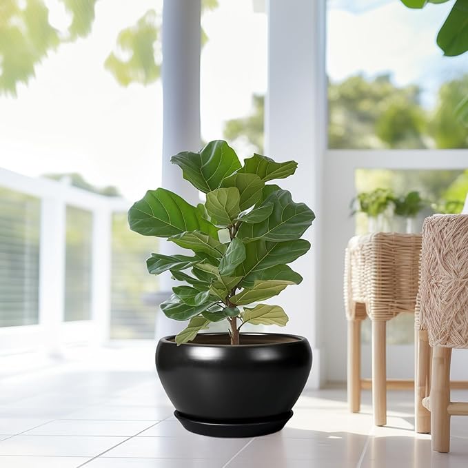 Ceramic Pot for Plants Large - 13 Inch Plant Pot Indoor with Drainage Hole and Saucer Round Planter Decorative Planter Outdoor Flower Pot for House Decor Balcony Black