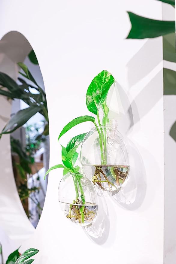 Ivolador Wall Hanging Planter Propagation Station Glass Flower Vase for Hydroponics Plants, Home Office Living Room Decor Gift, Set of 4