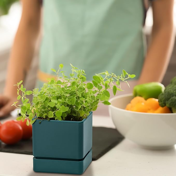 4 Inch Herb Planter Pot, Plastic Planter with Drainage Holes and Saucer, Modern Decorative Gardening Pot for Indoor Plants, Flowers, Herbs, Succulents, Green, Set of 1, 76-Y-C-1
