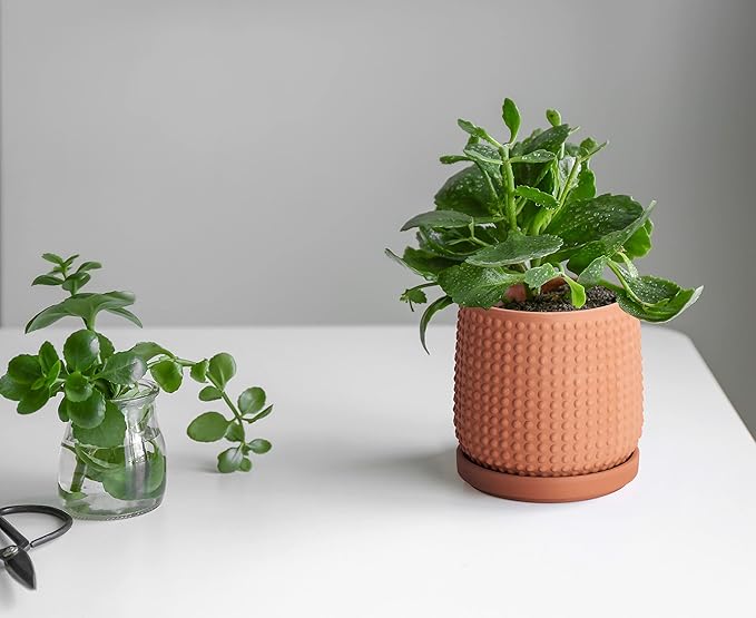 D'vine Dev 4 Inch Terracotta Beaded Planter Pot - Flower Pot with Drainage Holes and Saucers for Indoor Succulent Plants or Flowers,Terracotta, 27-C-Z-7