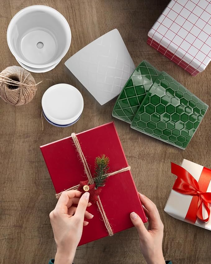 BUYMAX Plant Pots Indoor –6 inch Ceramic Flower Pot with Drainage Hole and Ceramic Tray - Gardening Home Desktop Office Windowsill Decoration Gift, Set of 2(Patina)