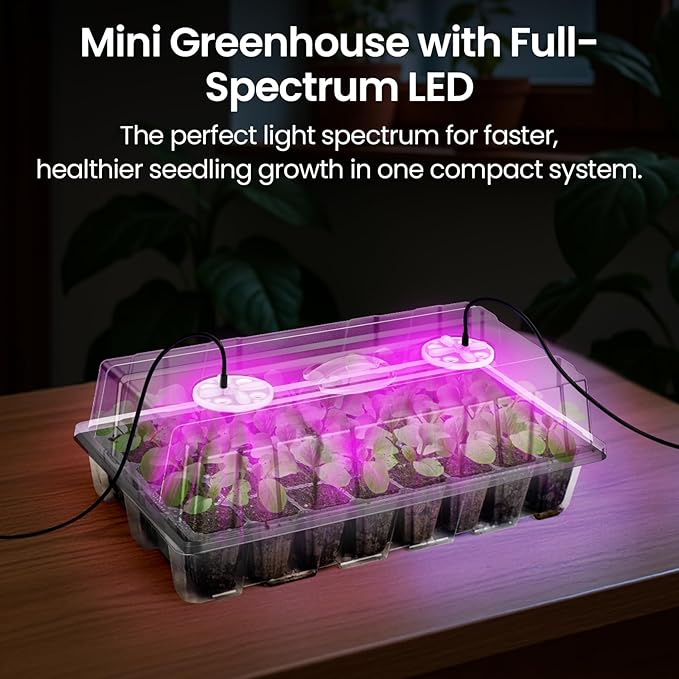 Bonviee 2-Pack Seed Starter Tray with Plant Light, Elevated Seedling Starter Trays Kits with Adjustable Humidity Domes and Clear Cell Tray, 12 Full Spectrum Led Lamp Beads for Plants Indoor-Clear