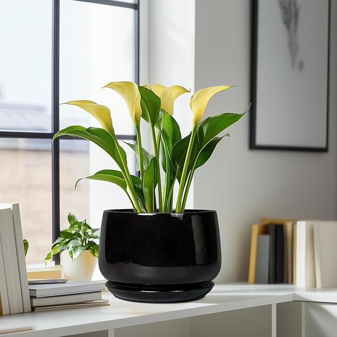 G EPGardening Ceramic Plant Pots - 9 Inch Round Planter, Ceramic Pots for Plants with Drainage and Tray, Flower Indoor Outdoor Planter, Modern Desk Decor, Plant Lover Gifts, Black