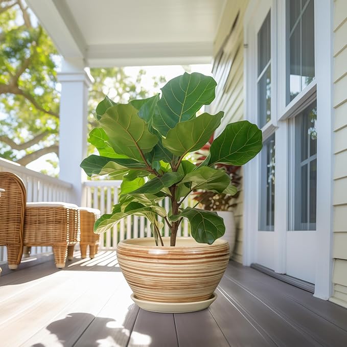 Ceramic Pot for Plants - 13 Inch Planter for Outdoor Plants Indoor Plant Pot with Drainage Hole and Saucer Large Planter Round Flower Pot for House Patio Garden Decor Yellow