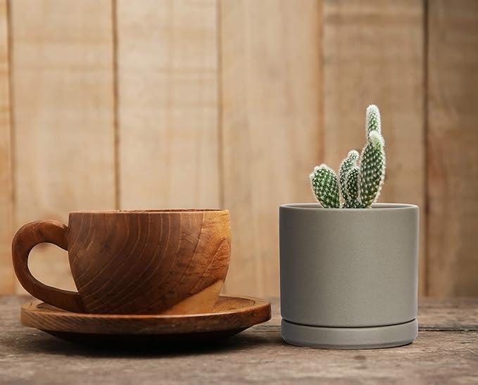 D'vine Dev Set of 4 Small Ceramic Plant Pots, 4.6 Inch Succulent Planter Pot for Plants with Drainage Hole and Saucer, Grey, 94-X-B-3