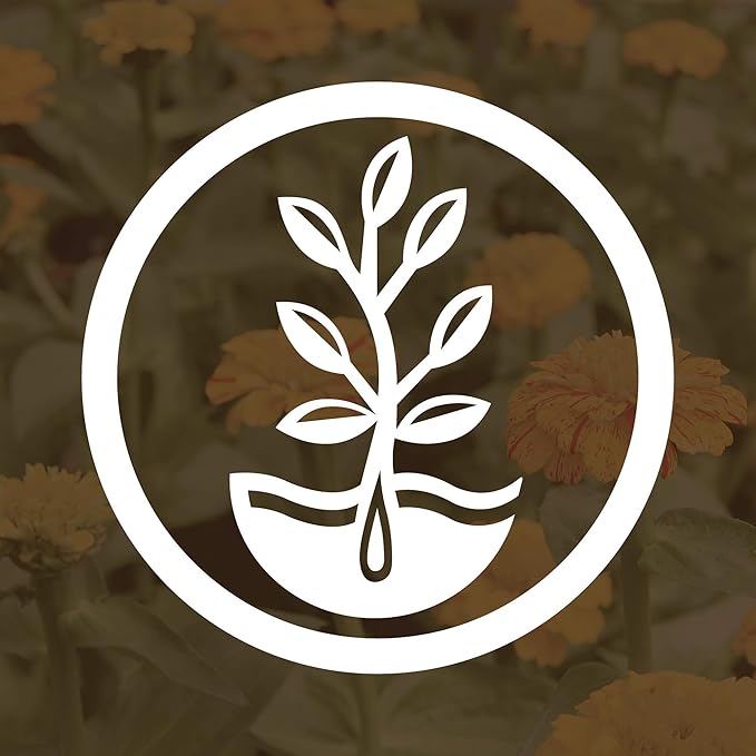 Crimson Clover Seeds (Coated) - 1 oz - Garden Cover Crop, Non-GMO, Open Pollinated, Perennial, Heirloom - Coated for Easy Planting