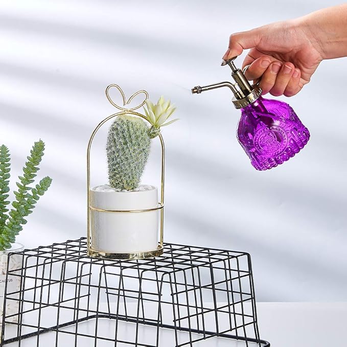 Glass Plant Mister Spray Bottle, 6.5" Tall Vintage Plant Spritzer Watering Can, Succulent Watering Bottle with Top Pump, Small Plant Sprayer Mister for Indoor Outdoor House Plant - Purple