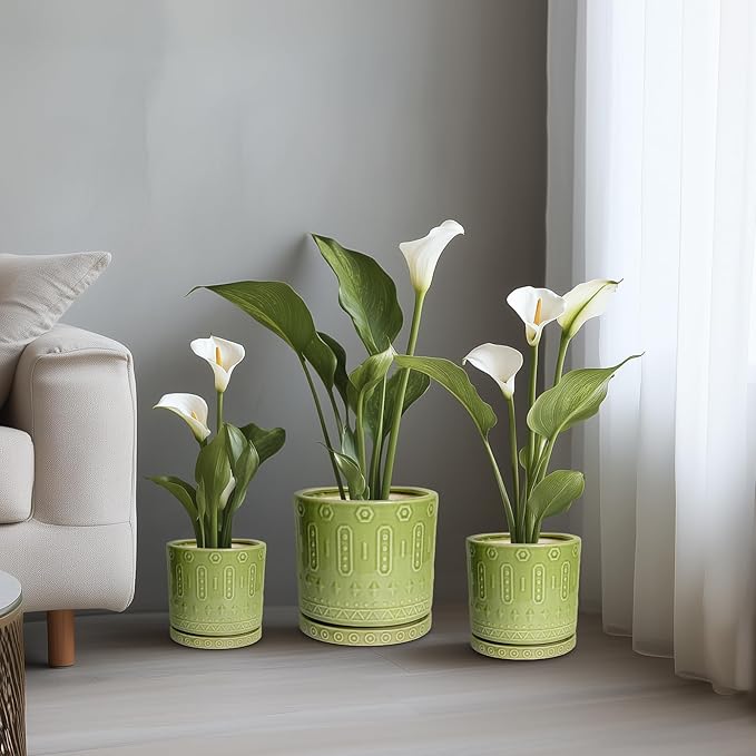 8 Inch Plant Pots - Ceramic Planter for Indoor Plants Outdoor, Round Ceramic Flower Pots with Drainage Hole and Saucer, Boho Decorative Planter, Home Bedroom Decor, Birthday Gifts, Green