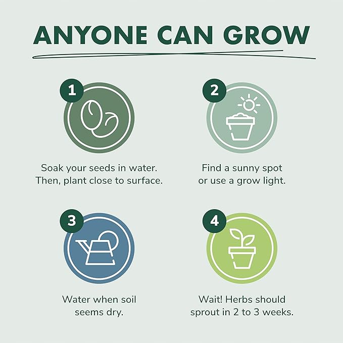 Indoor Herb Garden Seed Starter Kit - Herbal Tea Growing Kits, Grow Medicinal Herbs Indoors, Seeds for Planting, Soil, Plant Markers, Pots, Infuser, Planter Box, Gardening Gifts for Women