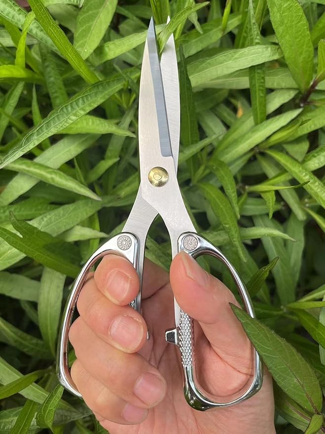 Indoor Plant Shears Bud Trimming Scissors, Japan SK5 Stainless Steel Floral scissors, Flowers Herbs and Stem Cutters, Clippers, Trimmers, Loppers, Bonsai Garden Pruning Scissors