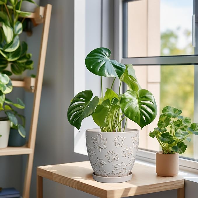 Ceramic Plant Pot 6 Inch - Ceramic Planter with Drainage Hole and Saucer Round Planter Flower Pot for Indoor Plants Outdoor Home Garden Office Decor White