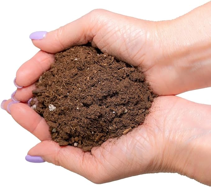 Premium Bamboo Potting Soil Mix - (2 Quart Bag)