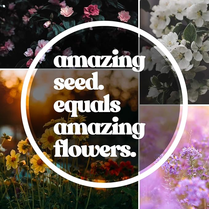 All Annual Wildflower Seeds Mix β 1 lb, 16,000+ Seeds β 21 Flower Varieties Including Poppy, Indian Blanket, Flax β Attracts Pollinators β Bulk Wildflower Seed for Planting