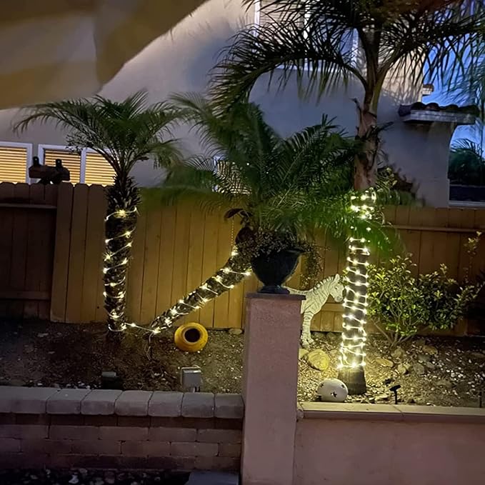 Solar Rope Light 2 Pack Waterproof IP65 39FT 100LEDs Outdoor LED Solar Outdoor Lights for Party Garden Yard Home Wedding Christmas Halloween Holiday Tree Decoration Lighting