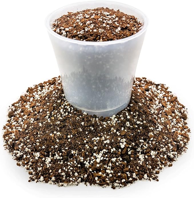 House Plant and Tropical Plant Potting Soil - Re-Potting Soil for All Types of Indoor House Plants - 1 Quart Bag