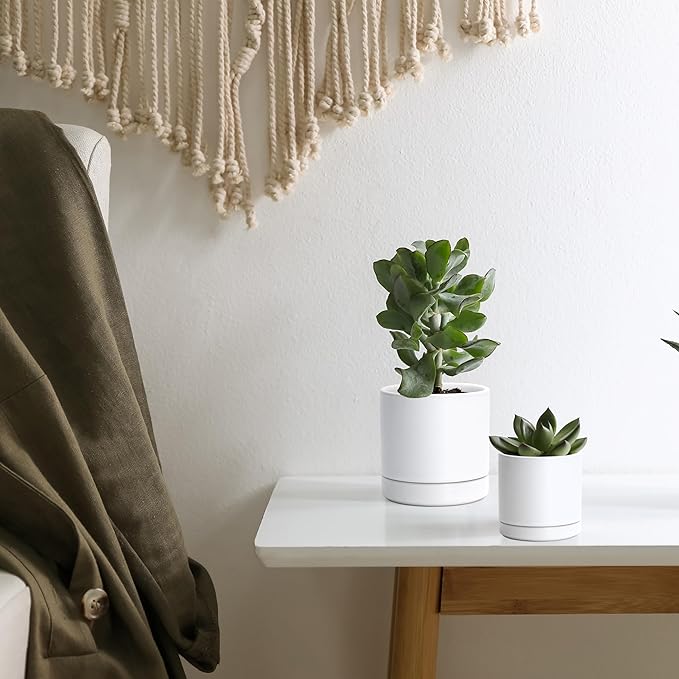 D'vine Dev 3.5 Inch & 4.7 Inch Ceramic Planter Pots for Plants with Drainage Hole and Saucer, X-Small Plant Pots Set, White, 94-G-XS-1