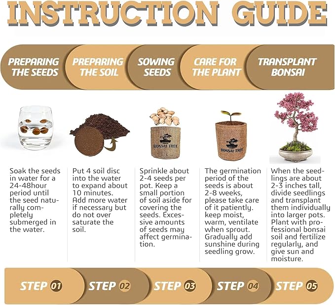 Indoor Bonsai Garden Starter Kit, 5 Seeds Growing into Red Maple, Wisteria, Black Pine, Judas Tree, Acacia, Including Complete Gardening Planters & A Wooden Box, Christmas Gifts for Women