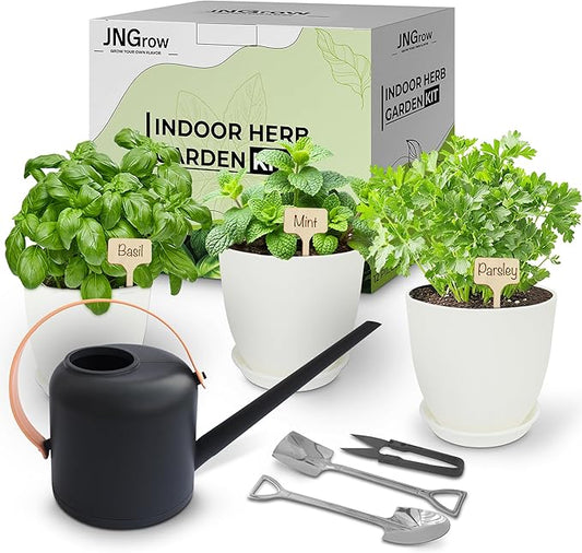 Indoor Garden Kit - Plant Pots with Drainage, Watering Can & Tools - Ideal Windowsill Planter Set - Modern Home & Kitchen Decor Gift - White