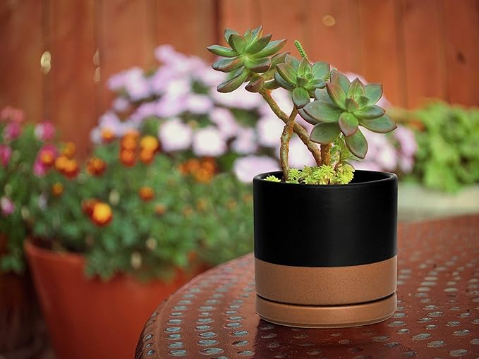 D'vine Dev Ceramic Planter Pot with Drainage Hole and Saucer, Indoor Cylinder Round Flower Pot, 4.6 Inch, Black/Speckled Tan, 94-O-B-7