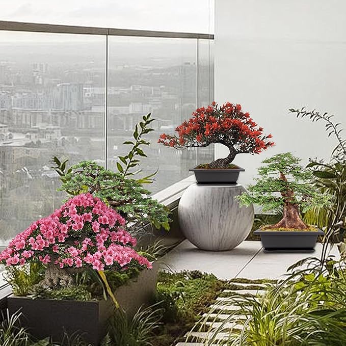 Bonsai Starter Kit, 5 Seeds Growing into Blue Spruce, Chinese Boxwood, Dawn Redwood, Flame Tree and Judas Tree, Including Complete Gardening Tools with A Gift Box, Christmas Gifts for Women