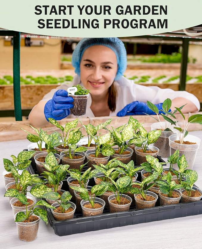 homenote Clear Nursery Pots for Plants,3 Inch Plant Pot for Planting Plastic Seedling with Drainage Holes Seed Starter Flower High Transparency with 20 Labels (60 Pack)