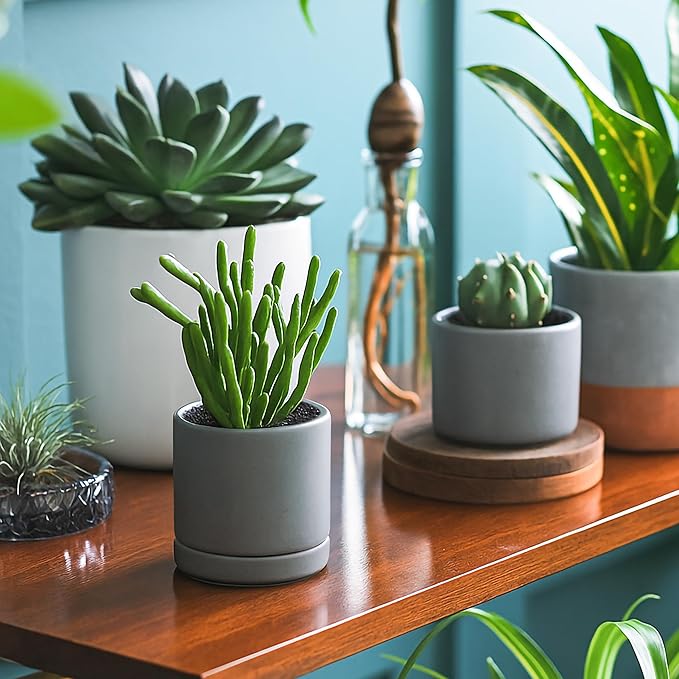 D'vine Dev 3.5 Inch Ceramic Planter Pot with Drainage Hole and Saucer, Indoor Cylinder Round Planter Pot, Speckled Grey, 94-O-A-3