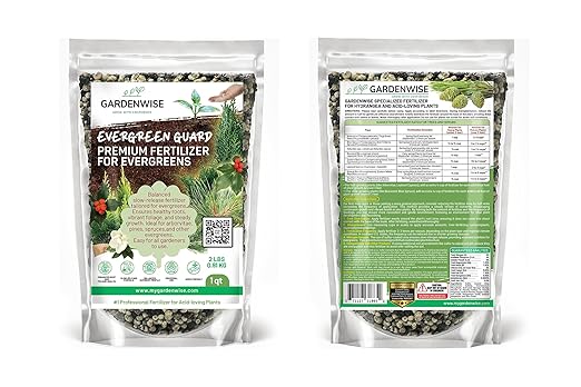Evergreen Fertilizer – All-Purpose Granular Plant Food for Outdoor Trees and Shrubs, Azaleas, Magnolias, Pines & Arborvitae – Slow-Release Formula (12 oz)