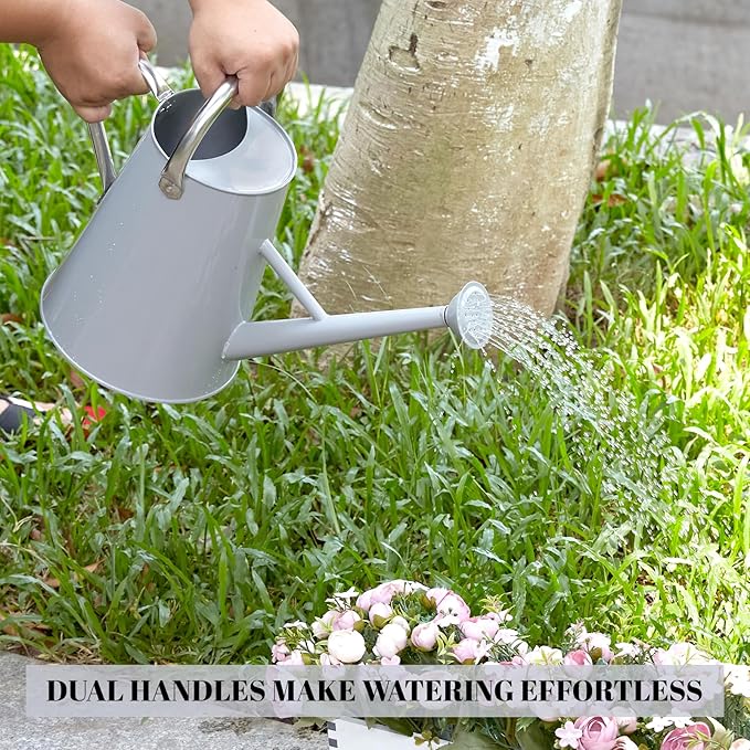 1.5 Gallon Watering Can for Outdoor Plants,Large Metal Plant Watering Pot with Removable Spout,Flower Garden Water Can Watering Pot,Galvanized Steel Watering Can with Stainless Steel Handles,Grey