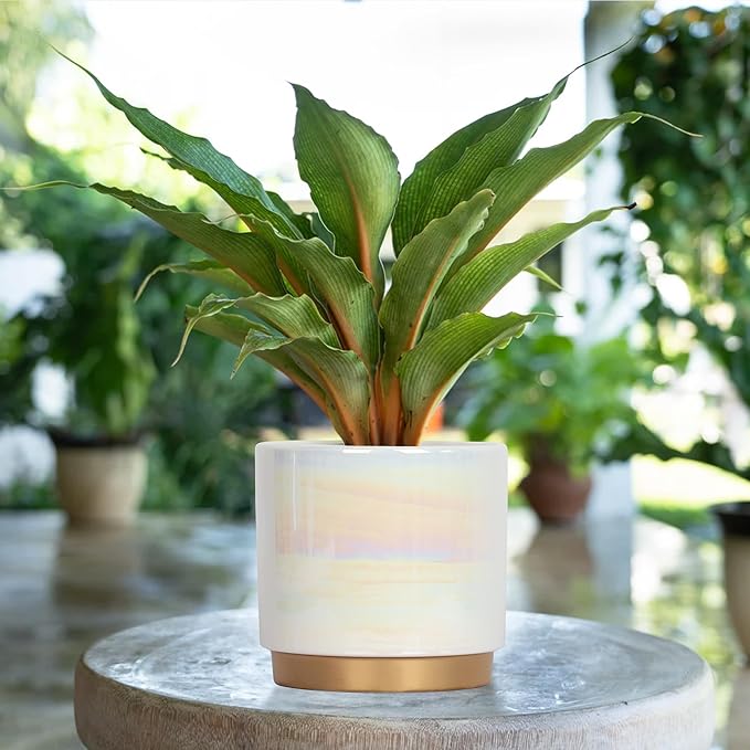 Gepege White Indoor Pots for Plants, Ceramic Planter with Drainage Hole, 9.6inch+7.6Inch+6Inch. Succulent Orchid Flower Pot - Rainbow Pearl Glaze