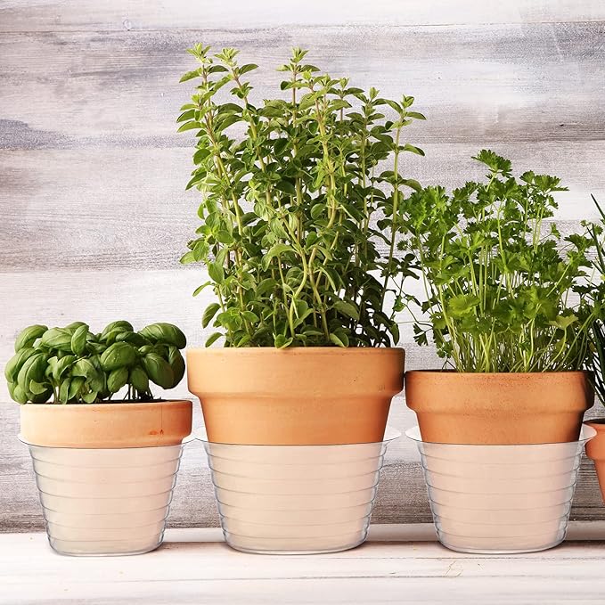 Hoolerry Plastic Plant Saucer Clear Deep Drip Tray Thickened Clear Plant Saucers Trays for Pots Deep Drip Trays for Home Garden Indoor and Outdoor Potted(15 Pcs, 6, 8, 10 Inch)