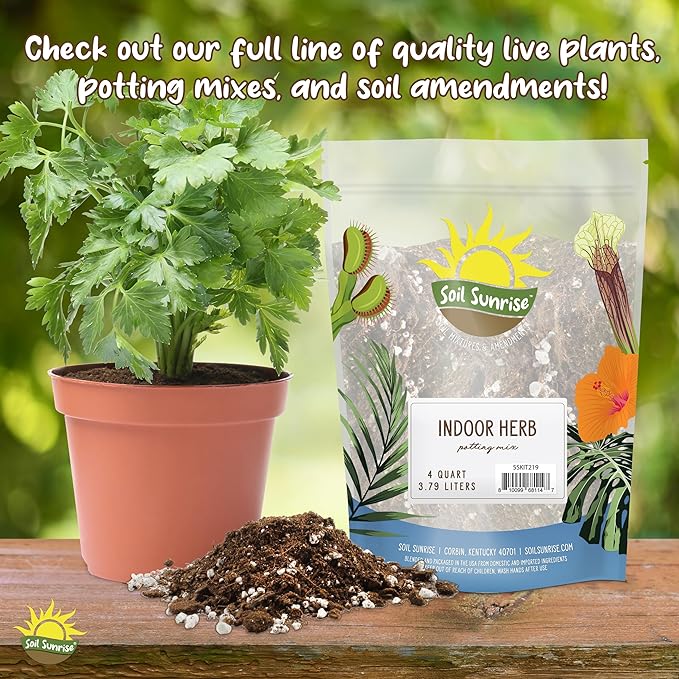 Aroid Plant Potting Soil Mix (8 Quarts), for Pothos Devil's Ivy, ZZ Plant, Chinese Evergreen, Dumb Cane, Philodendron, Syngonium, Alocasia, Colocasia Etc.
