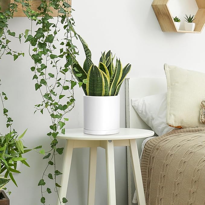 D'vine Dev 4 Pack 6.5 Inch Modern Plastic Plant Pots, Small Garden Planters for Plant with Drainage Holes and Saucers, White Color, 74-Z-L-2