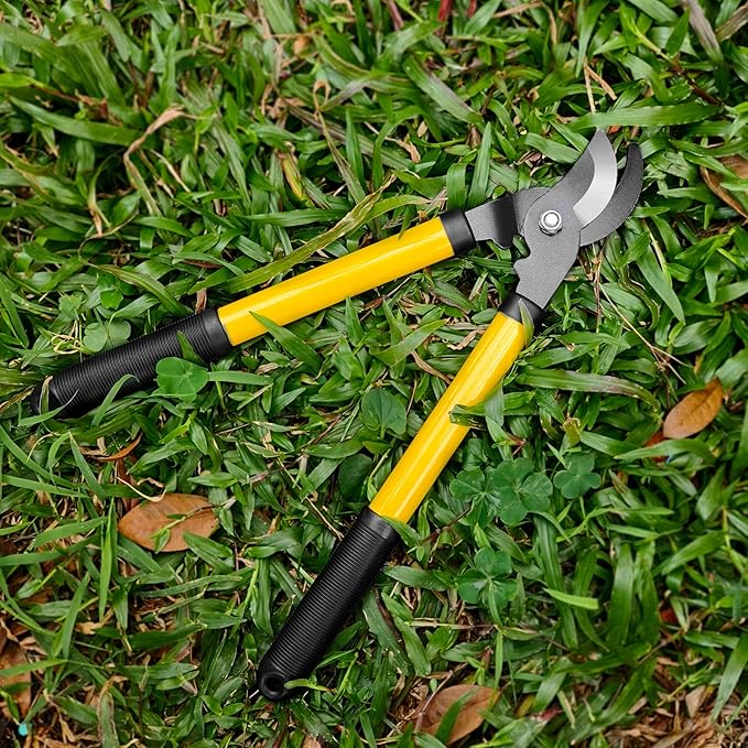 41-Piece Premium Gardening Tool Set, Stainless Steel Heavy Duty Gardening Tool Kit, with Non-Slip Rubber Grip, Storage Tote Bag, Outdoor Hand Tools, Ideal Gardening Gifts for All (Green/Grey)