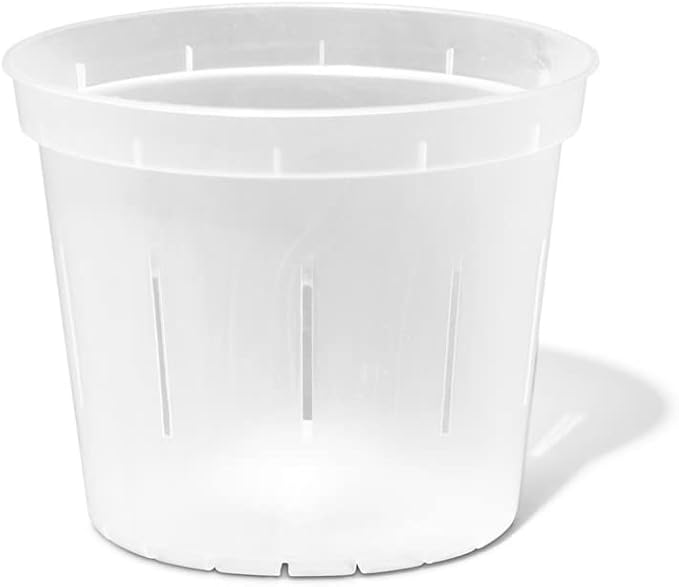 rePotme Orchid Pot - 6 inch Slotted Clear Orchid Pots - 3 Pack (Crystal Clear)