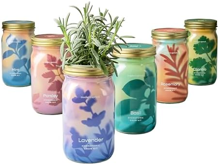Modern Sprout New & Improved Mason Jar Grow Set 6pk, Indoor Herb Garden, Seed Starter Set, Organic Seeds, Hydroponic Growing (Basil + Mint + Parsley + Cilantro + Rosemary+ Lavender)