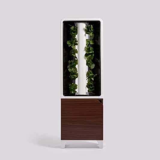 Just Vertical EVE Indoor Hydroponic Garden | Modern Furniture-Style Vertical Planter | Grow 12 Fresh Herbs & Vegetables Year-Round | Self-Watering, Energy-Efficient LED, Compact Design