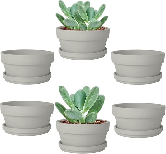 vensovo 3.7 Inch Grey Terracotta Shallow Succulent Pots - 6 Pack Terra Cotta Clay Pot with Saucer, Cacuts Indoor and Outdoor Planters with Drainage Hole