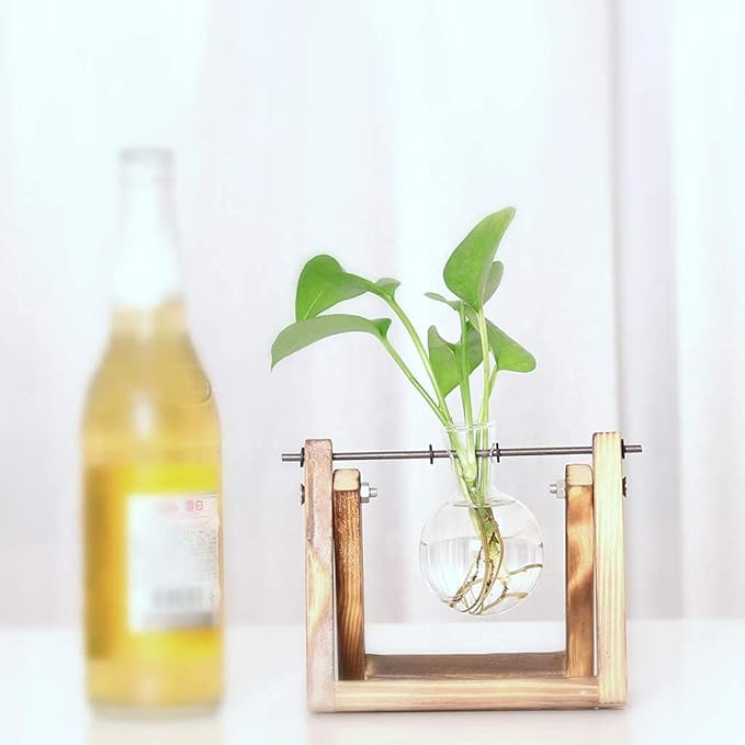 Kingbuy Plant Propagation Station Air Plant Terrarium Bulb Vase with Wooden Swivel Holder Desktop Glass Planter for Indoor Water Plants Home Office Tabletop Decor - 1 Bulb Vase