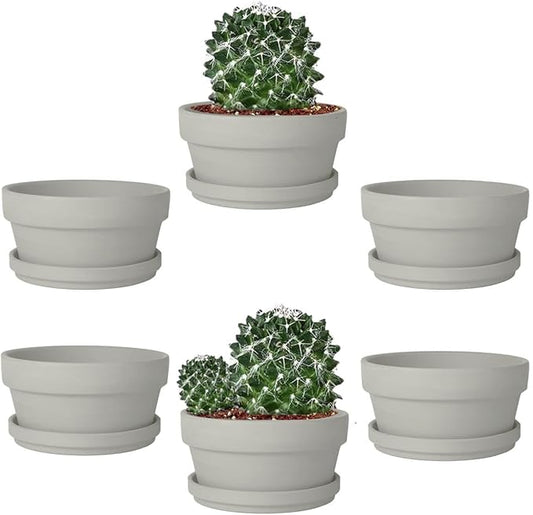 vensovo 5.7 Inch Grey Terracotta Shallow Succulent Pots - 6 Pack Terra Cotta Clay Pot with Saucer, Cacuts Indoor and Outdoor Planters with Drainage Hole