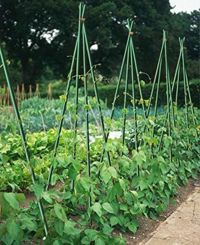 Garden Stakes 3/8" Dia 6 FT FRP Plant Supporting Stakes for Climbing Tomato Cucumber Strawberry Bean Tree, Pack of 10, Dark Green