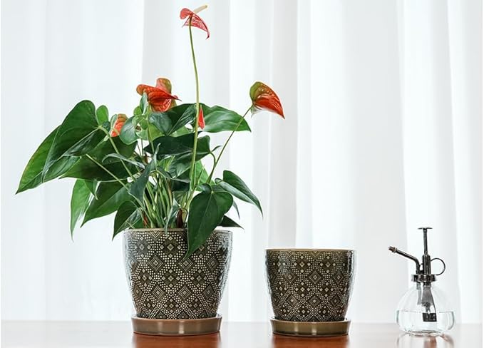 Docrin Ceramic Plant Pots Indoor, 6.6 + 5.5 Inch Planters with Drainage Holes and Saucer for Home/Office - Set of 2 /Dark Green