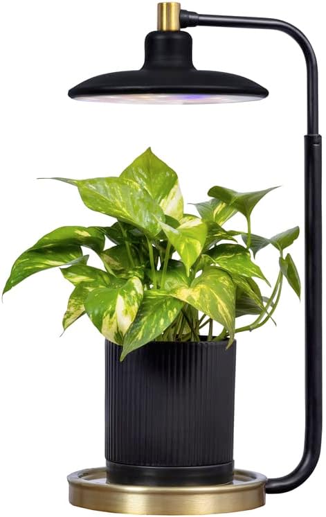 AeroGarden Tabletop Grow Light for Indoor Plants, Grow Live Plants Anywhere in The Home, Adjustable Light Modes, Black