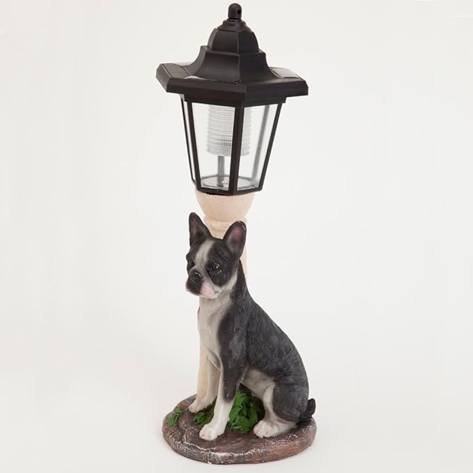 Bits and Pieces - Solar Dog Lantern-Solar Powered Garden Lantern - Resin Dog Sculpture with LED Light (Boston Terrier)