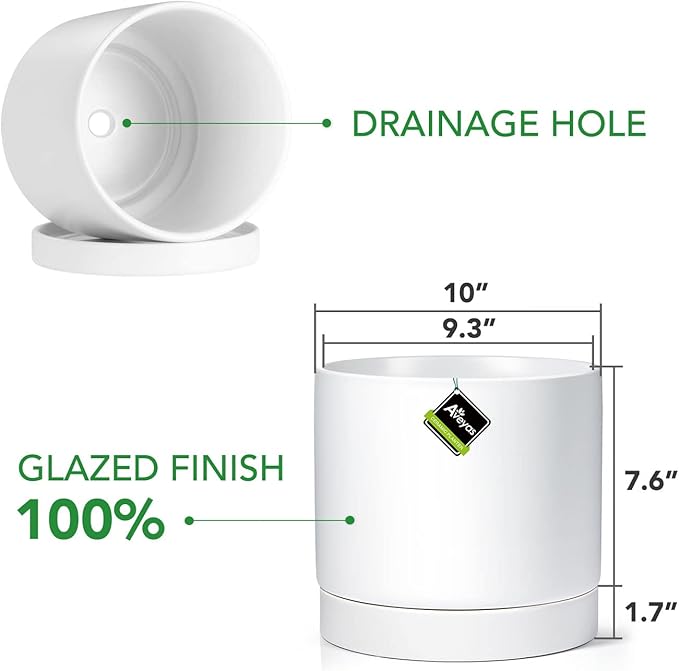 Aveyas 10 inch Ceramic Plant Pot with Drainage Hole and Saucer - Suitable for Indoor and Outdoor Use, Modern Planters for House Garden Flower Tree Snake Monstera Plants (10", Matte White)