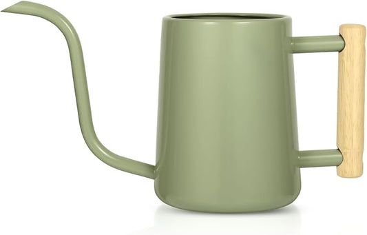 Watering Can Indoor Plants, 35 oz/1000 ml Metal Stainless Steel Watering Can Pot with Long Spout for Indoor House Plants Bonsai Outdoor Garden Flower Decorative (Sage Green)