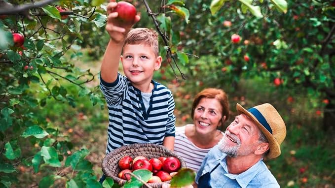 Premium Apple Potting Soil Mix - Optimal Nutrient-Rich Blend for Thriving and Juicy Apples - 4 Quart